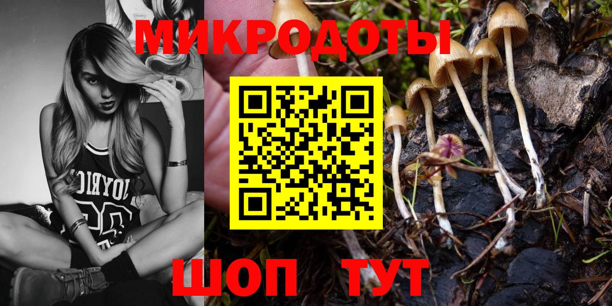 как найти   Вход с VPN  Первоуральск  Псилоцибиновые грибы Psilocybine cubensis 